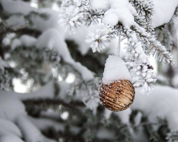 An Ornament Left Behind