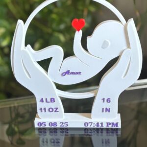 Personalized Baby Announcement Sign